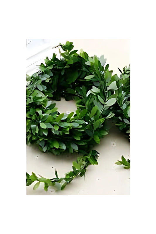 DOĞALGAZ SARMAŞĞI